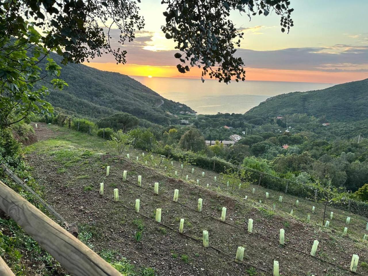 Agriturismo Paradisa Rio nell'Elba Exterior photo